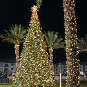 Meet your Posher, Carolina